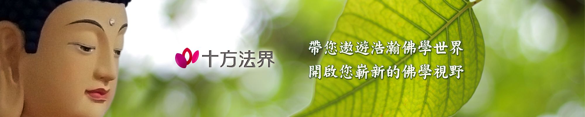 遨遊浩瀚佛學世界